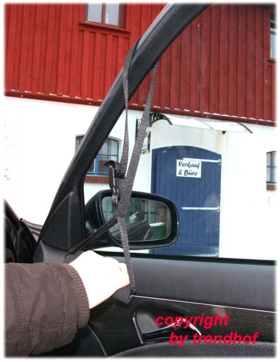Haltegriff für Auto-Fenster Einstieghilfe Ausstieghilfe Haltegurt Altenpflege